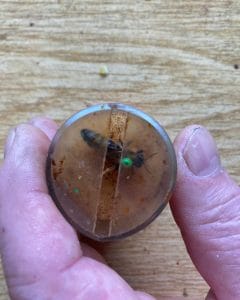 Screenshot_20250227_192444_WhatsApp